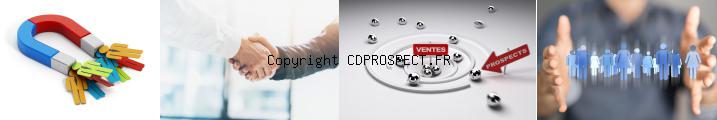 achat base prospects entreprises