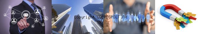 cd prospects B2B