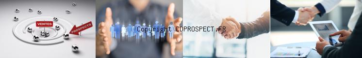cd prospection commerciale B2B