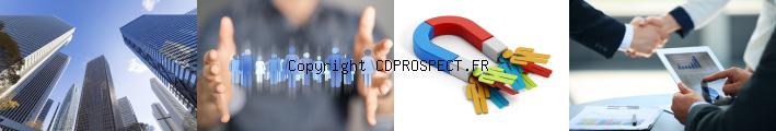 logiciel prospection commerciale B2B