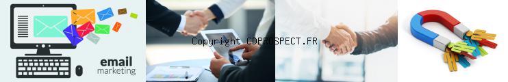 vente cd prospects entreprises